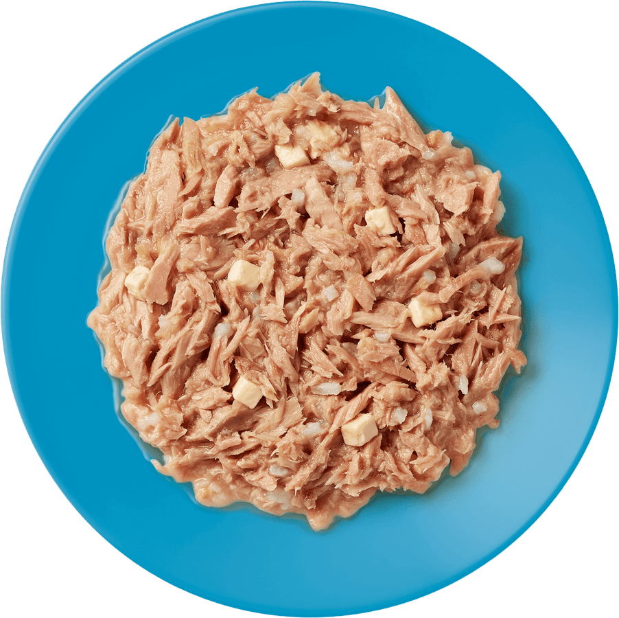 Konzerva Applaws Cat Tuna Fillet a Cheese 70g