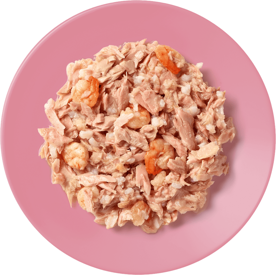 Konzerva Applaws Cat Tuna Fillet a Prawn 70g