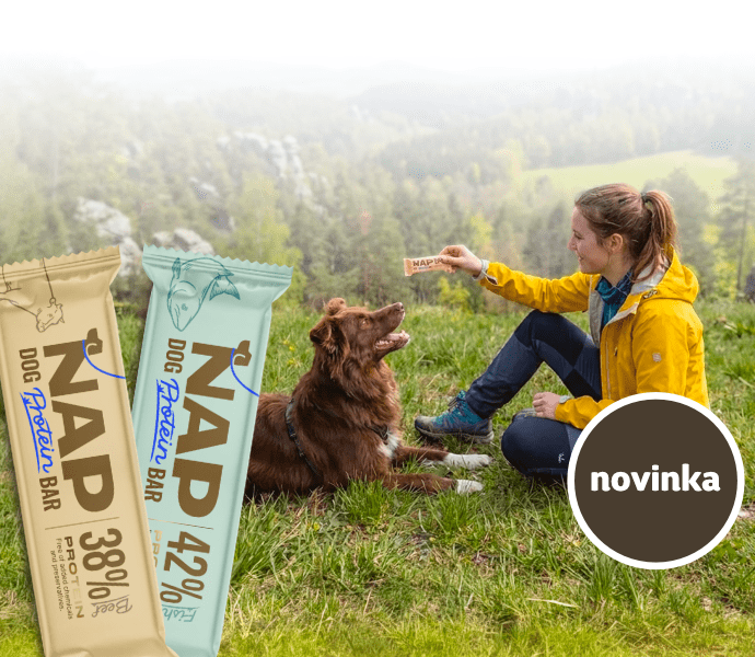Proteínová odmena