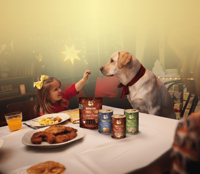 Štědrovečerní večeře