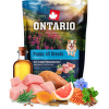 Vzorek - Ontario Puppy&Junior All Breeds Monoprotein Turkey & Sweet Potatoes 100g