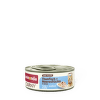 Консервы для кошек – Carny Tuna and seafood in jelly 60 г