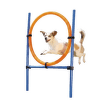 Аджилити обруч для собак – TRIXIE Dog Activity Agility Ring, 115 см, Blue/Orange