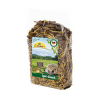 Лакомство для ежей – JR Garden hedgehog snack, 100 г