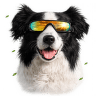 Brýle M-Pets Sunbather pro psy