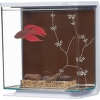 Marina akvárium Betta Kit Contempporary 3 l 