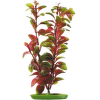 Rastlina MARINA Red Ludwigia 50 cm