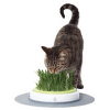 Игрушка для кошек - CAT IT Design Senses Grass Garden