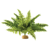 Rostlina EXO TERRA Boston Fern střední