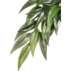 Dekors terārijam - ExoTerra Textil Plant 'Rucus' large