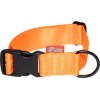 Obojek Tamer Simple oranžový 4 cm 33–55 cm