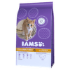 Iams Kitten rich in Chicken 10kg