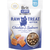 Pamlsek Brit Care RAW Cat Kitten losos + kuře 40 g