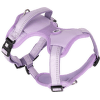 Postroj pro psy Max & Molly Sport Matrix 2.0 L levandulový