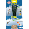 Dekoratīvs augs akvārijam - Tetra Hairgrass S