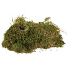 Мох для террариума – TRIXIE, Terrarium moss, substrate for humid terrariums, 200 г