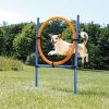 Аджилити обруч для собак – TRIXIE Dog Activity Agility Ring, 115 см, Blue/Orange