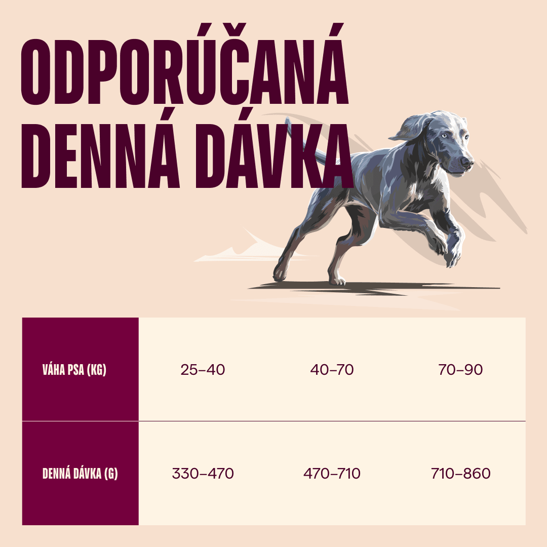 Granuly CARNILOVE Active pre dospelé psy veľkých plemen losos a morka 1,5 kg