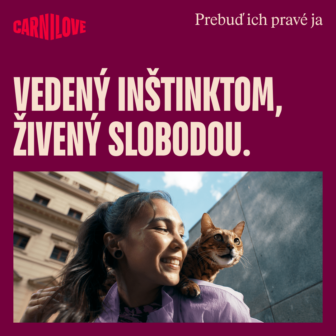 Granuly CARNILOVE Active pre sterilizované mačky hovädzie a zverina 2 kg