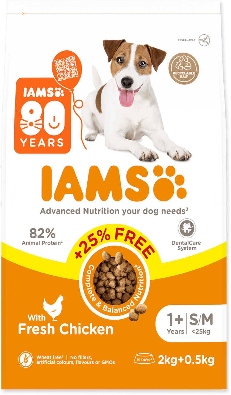 Krmivo IAMS Dog Adult Small & Medium Chicken 2kg + 500g zdarma