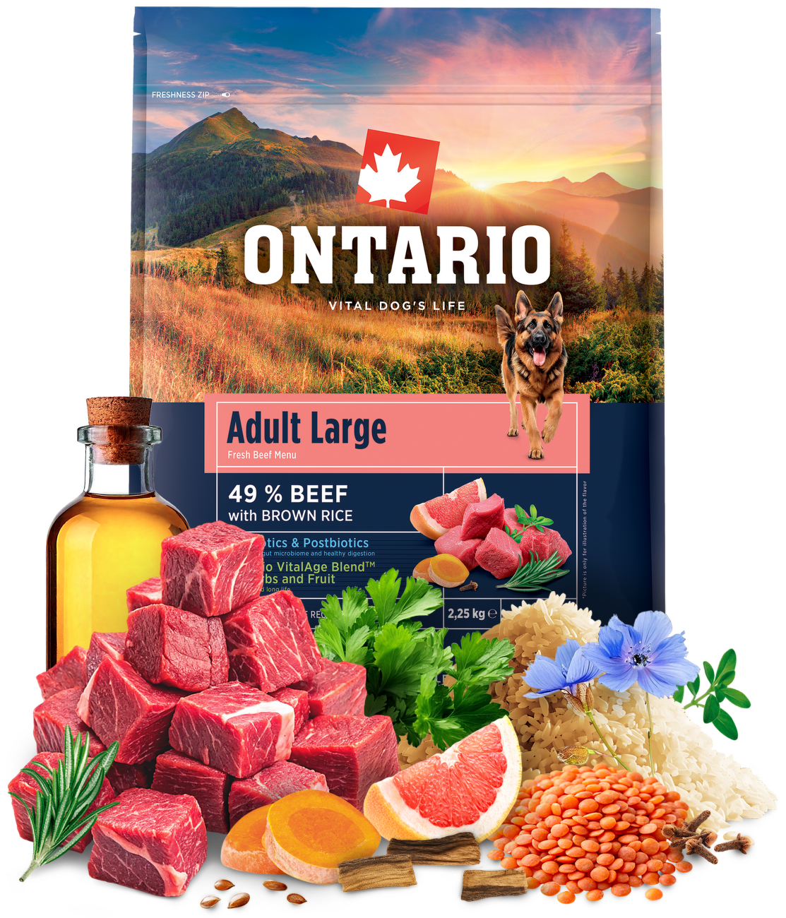 Ontario Adult Large Beef & Brown Rice 2,25kg