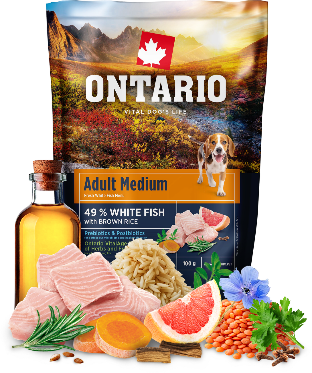 Vzorka - Ontario Adult Medium Fish & Brown Rice 100g