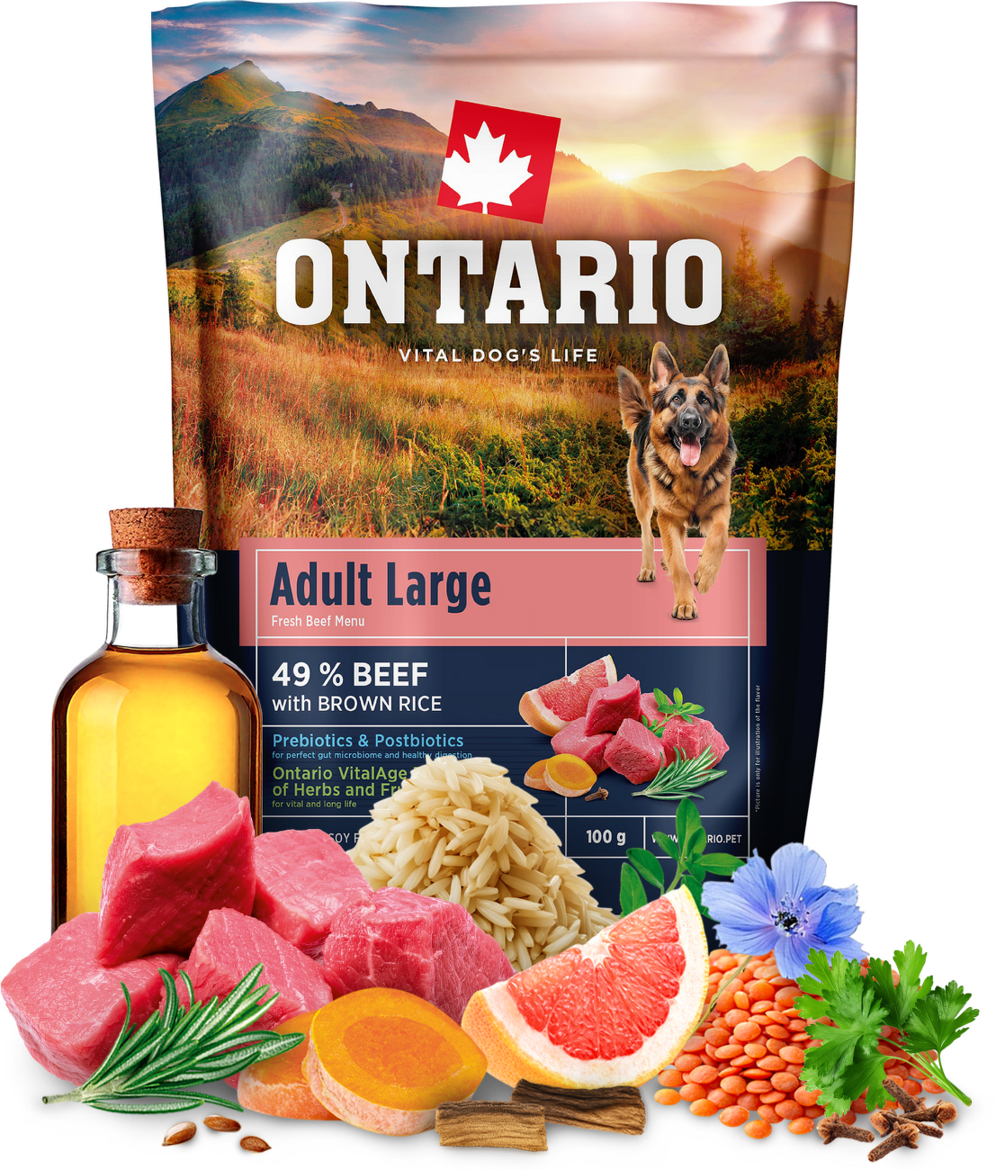 Vzorka - Ontario Adult Large Beef & Brown Rice 100g