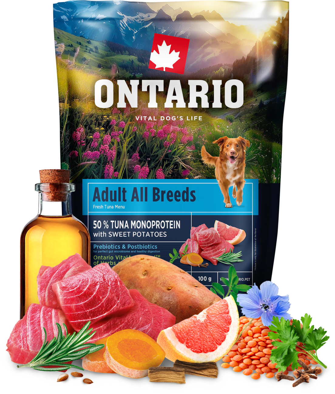 Vzorka - Ontario Adult All Breeds Monoprotein Tuna & Sweet Potatoes 100g