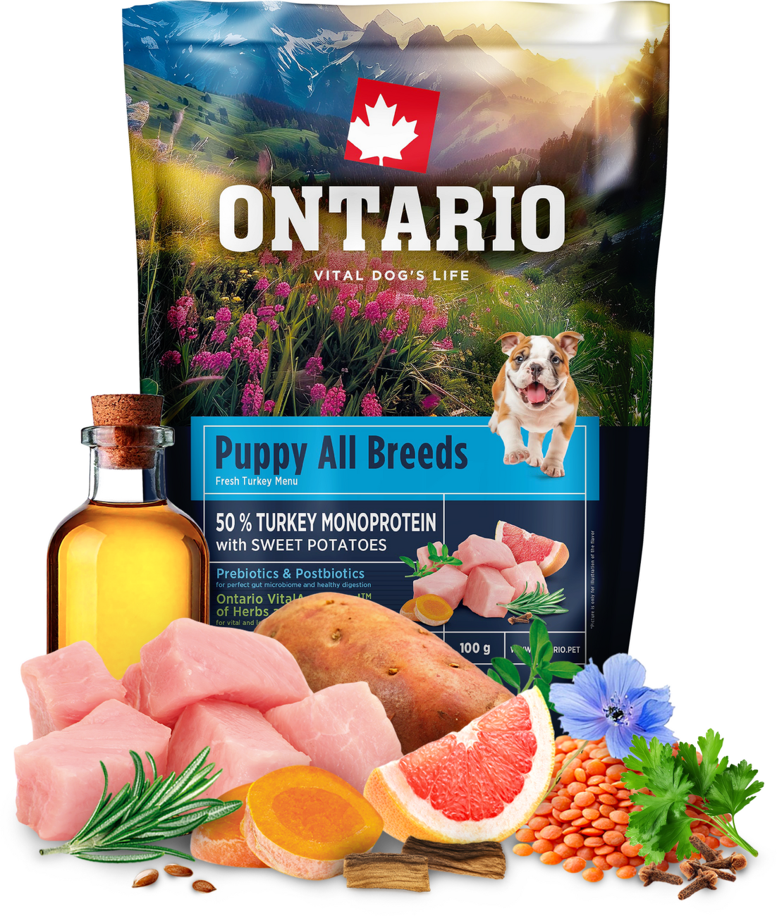 Vzorka - Ontario Puppy&Junior All Breeds Monoprotein Turkey & Sweet Potatoes 100g