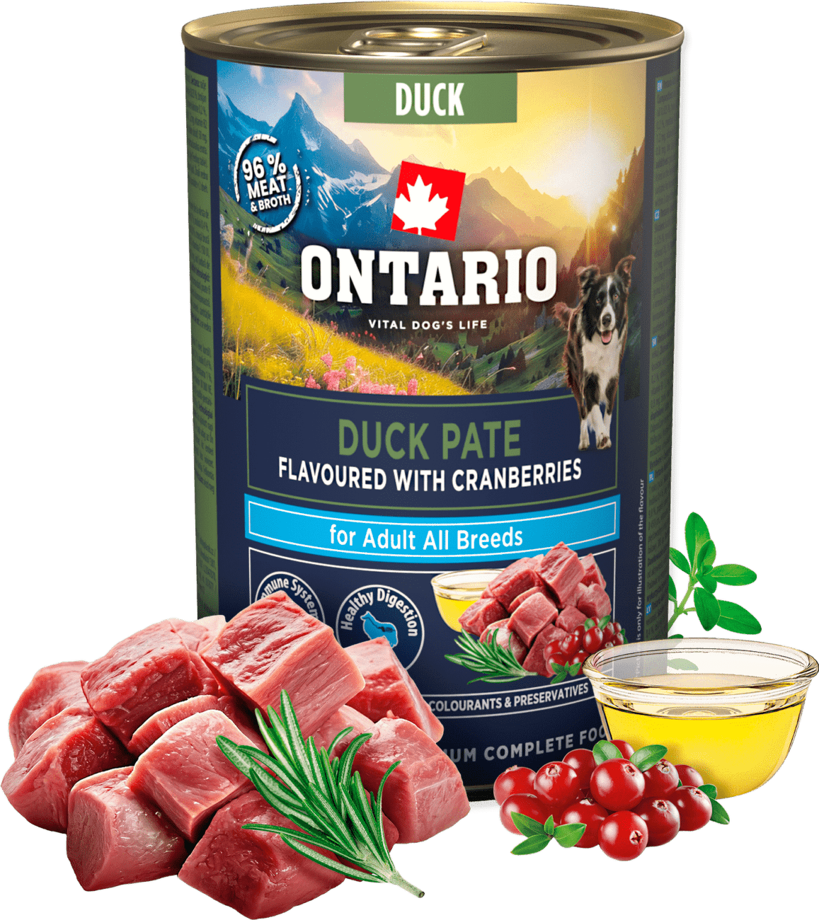 Konzerva Ontario Adult kachní pate s příchutí brusinek 400g