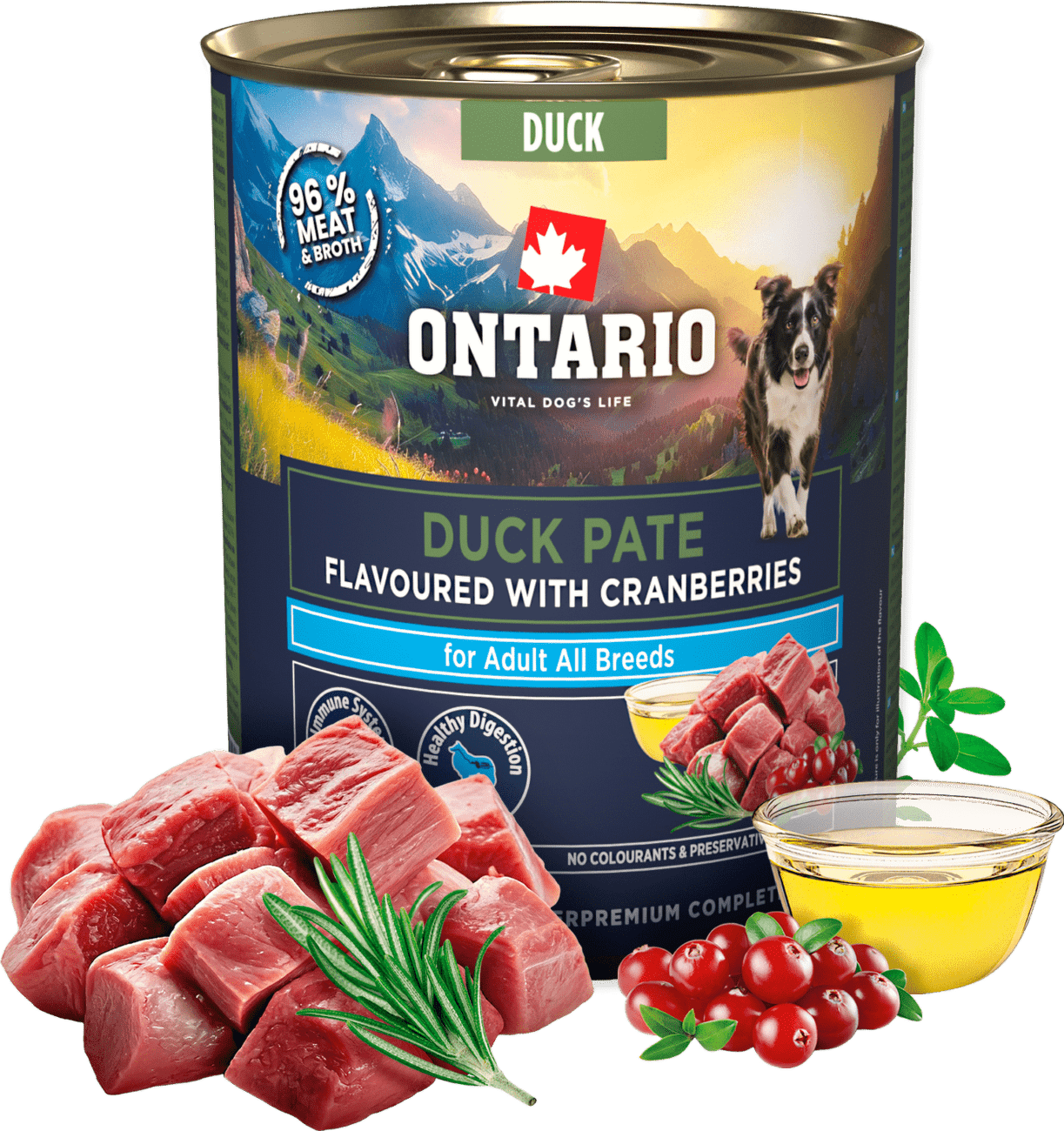 Konzerva Ontario Adult kachní pate s příchutí brusinek 800g