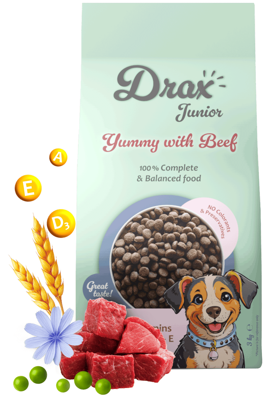 Krmivo Drax  Junior Dog s hovězím 3kg