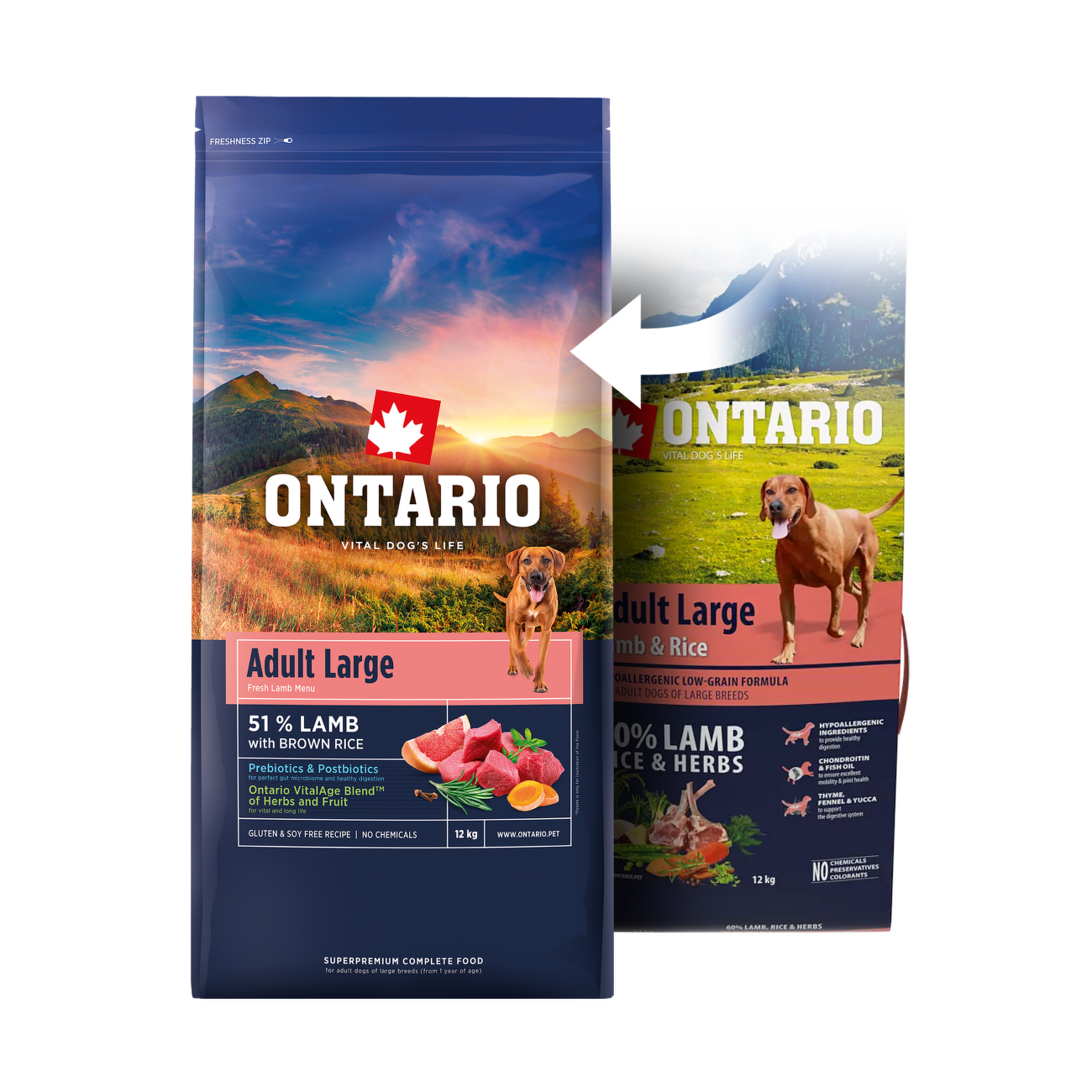 VZORKA Ontario Adult Large jahňa a ryža 0,1 kg