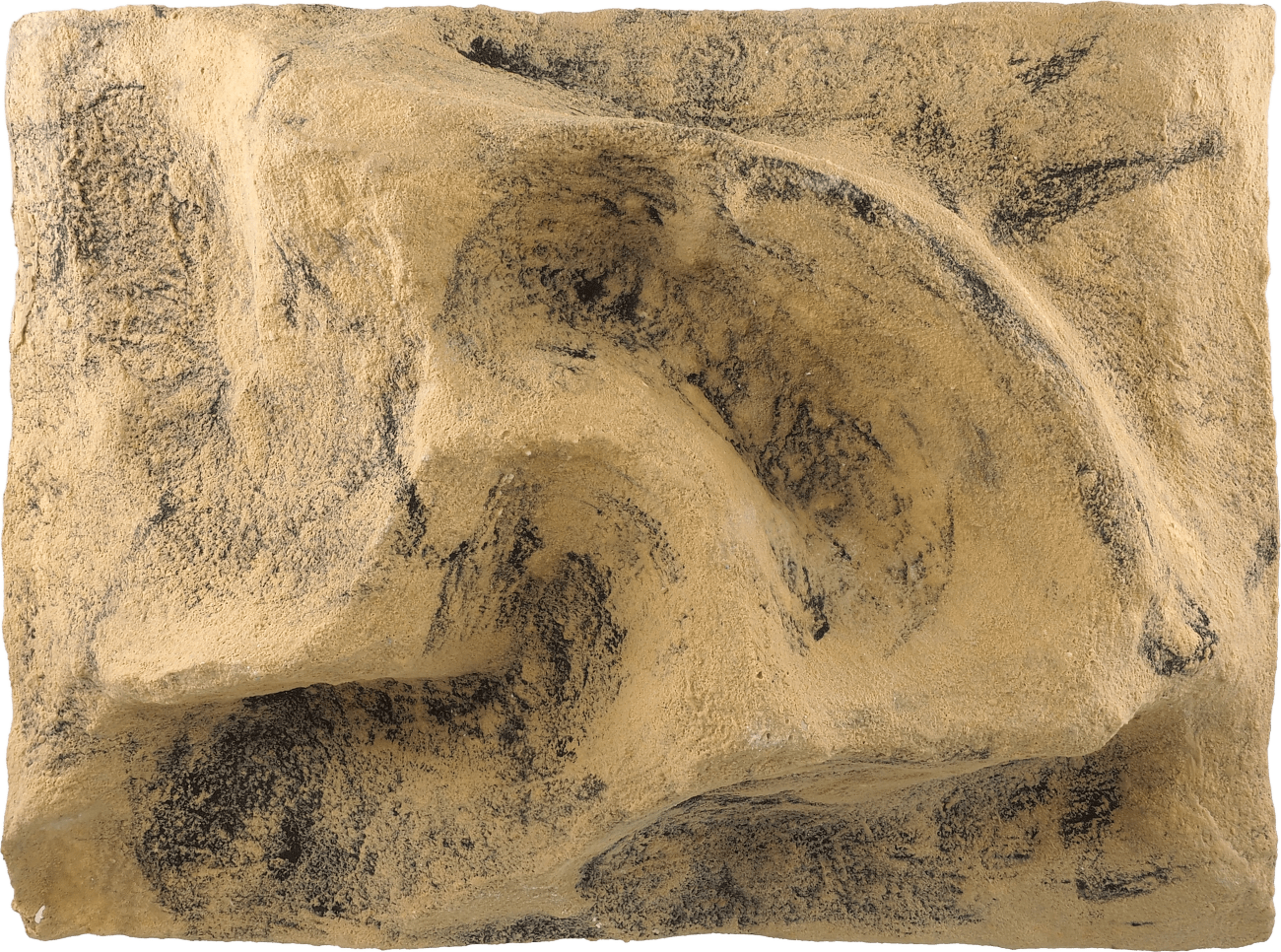 Pozadí Repti Planet do terária 40,5×55,5×12cm