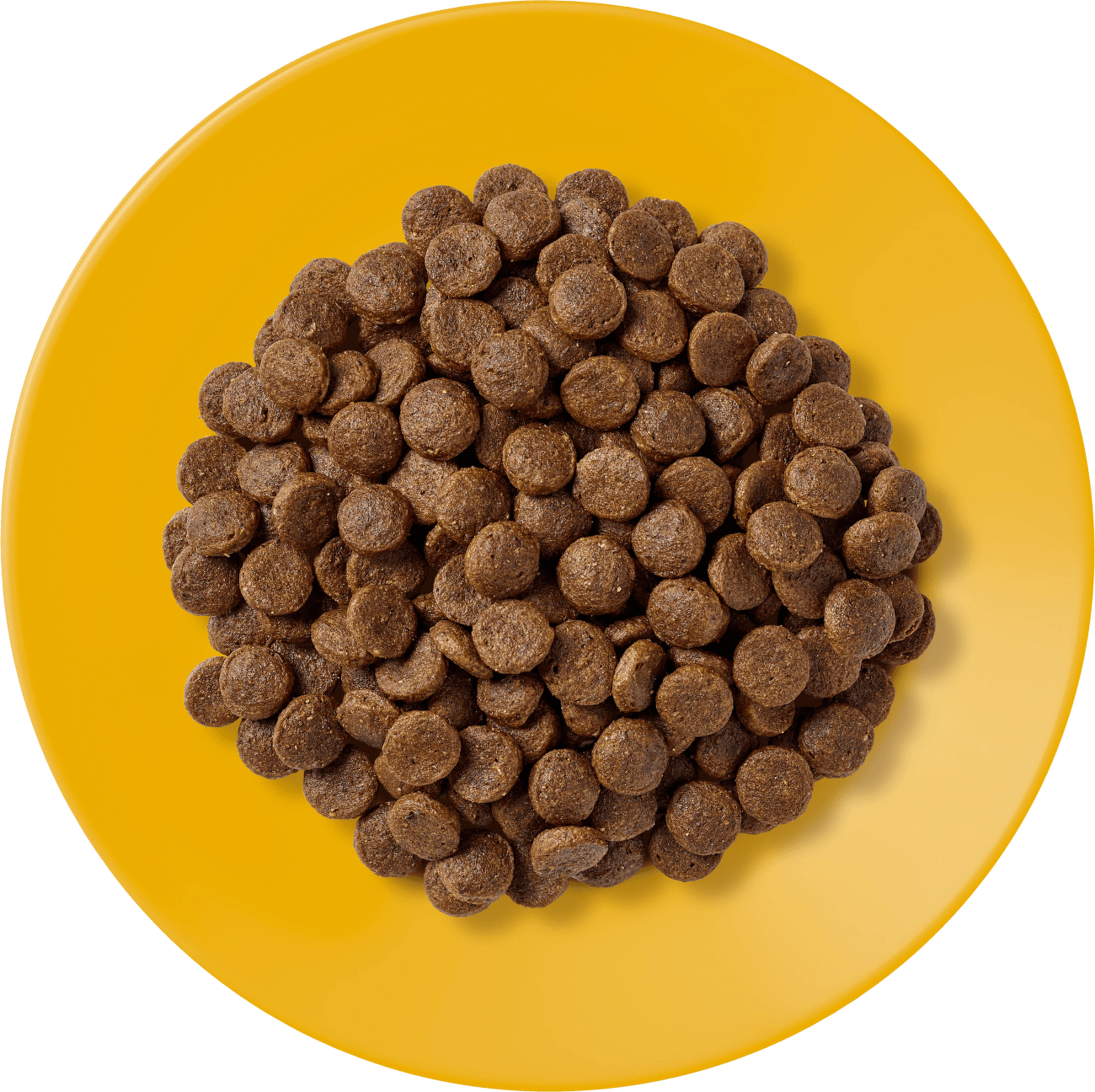 Krmivo Applaws Cat Chicken 2kg