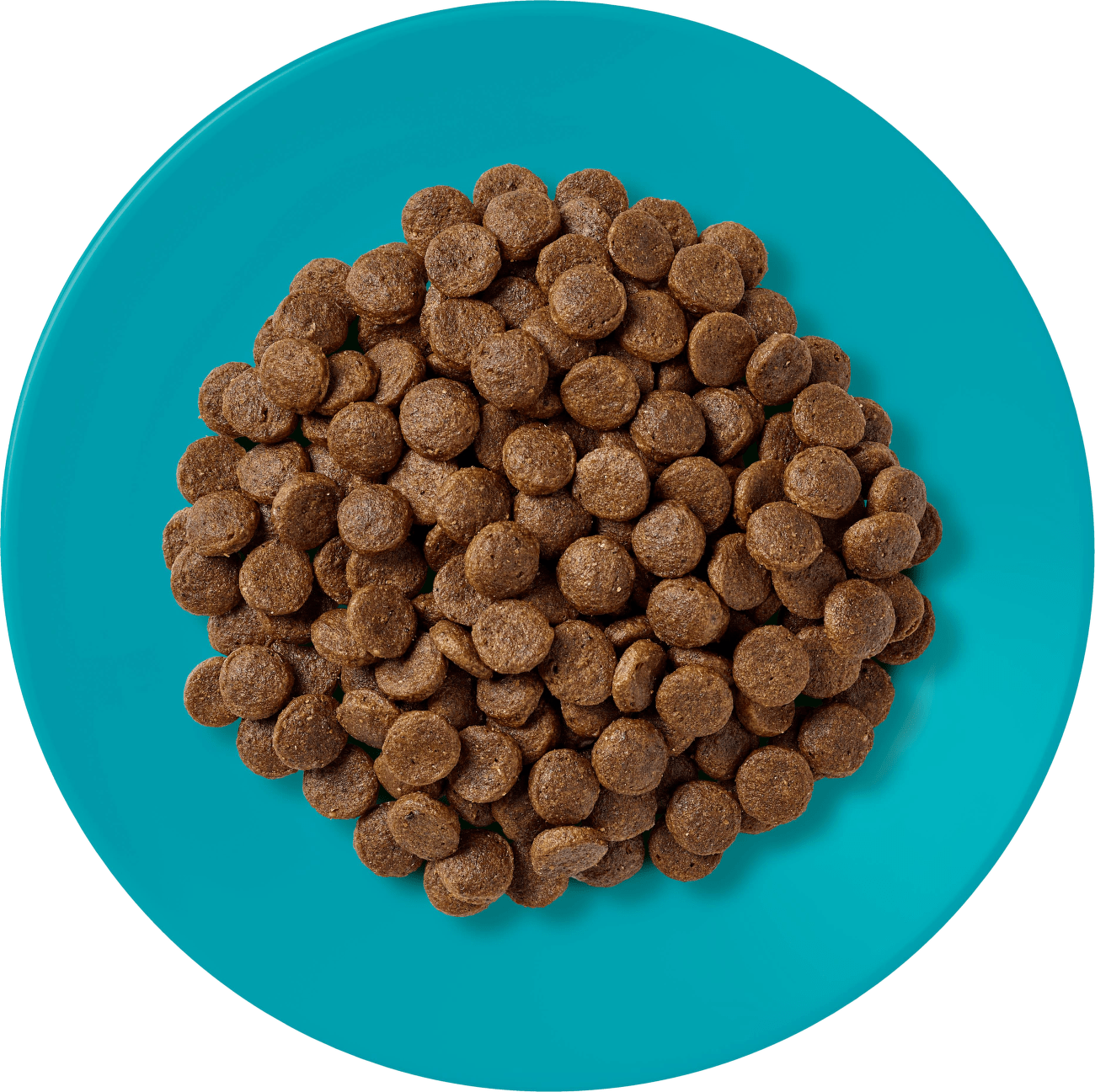 Applaws Dry Cat krmivo morské ryby, losos 6 kg