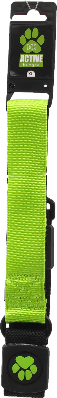 Voditko AD Bungee Neopren XL limetka 3,8x55cm
