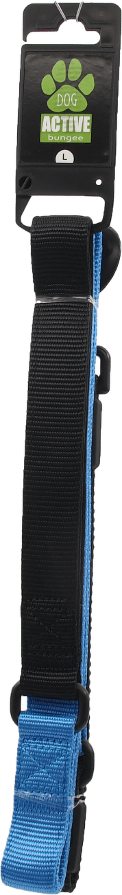 Voditko AD Bungee Neopren L modre 2,5x120cm
