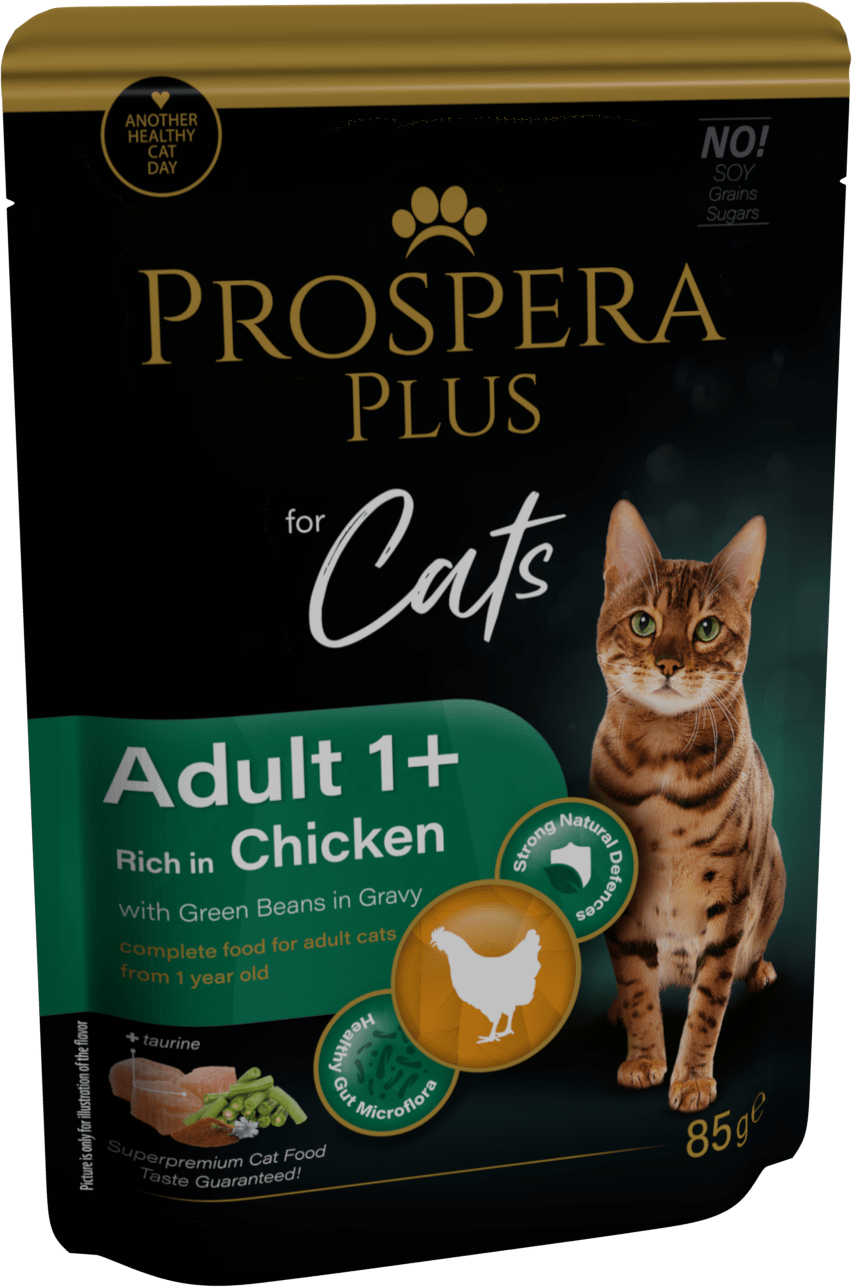 Prospera cat kapsička Adult kura s fazuľkami 85 g