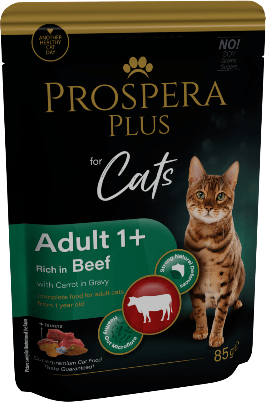 Prospera cat kapsička Adult hovädzie s mrkvou 85 g