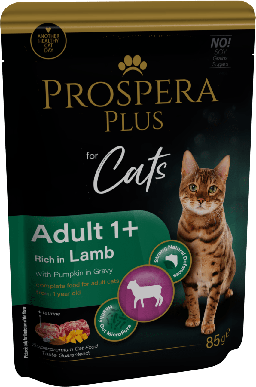 Prospera cat kapsička Adult jahňa s tekvicou 85 g