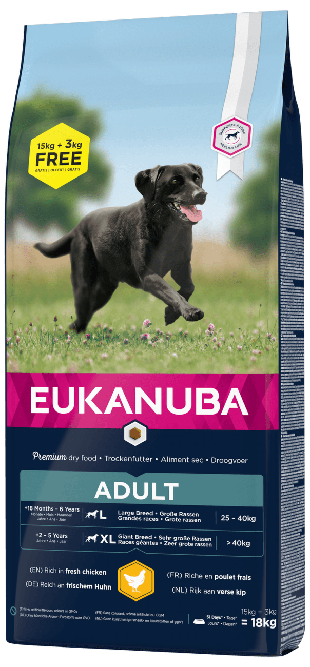 Eukanuba granuly Adult Large 15kg + 3kg zdarma
