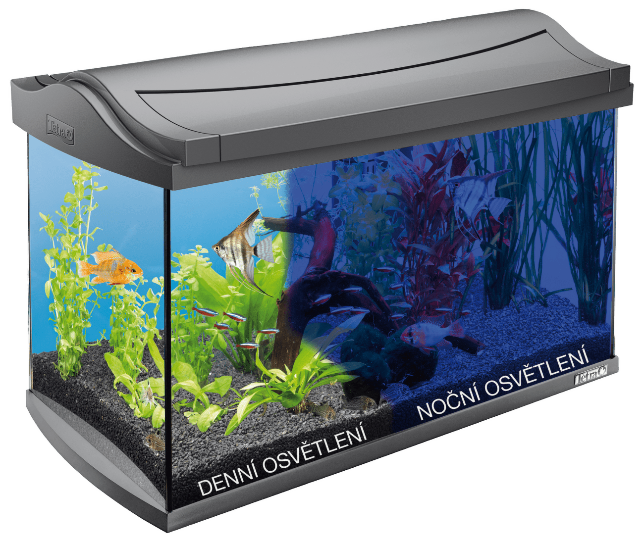 Tetra akvárium set AquaArt LED 57 x 30 x 35 cm 60 l