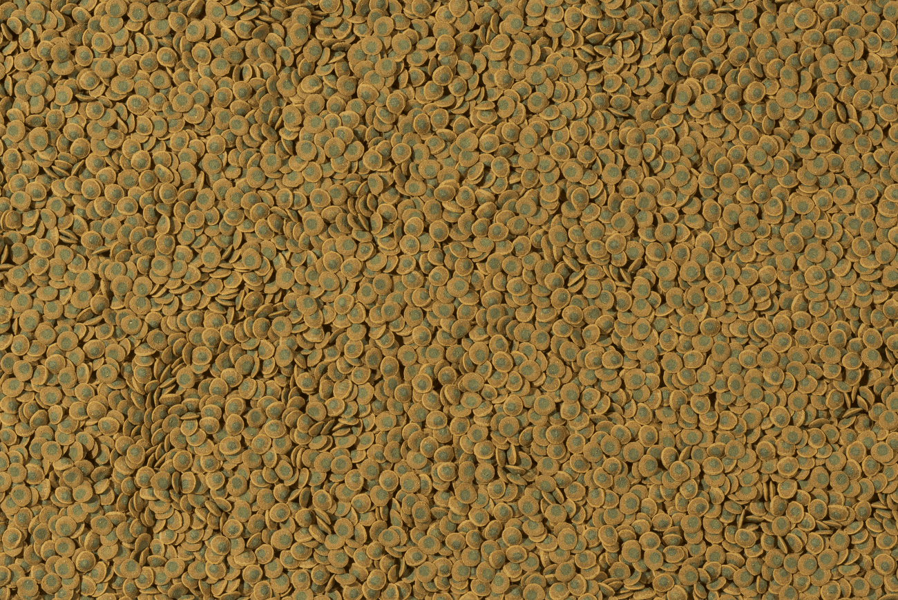 Tetra Pleco Veggie Wafers 15g sacok