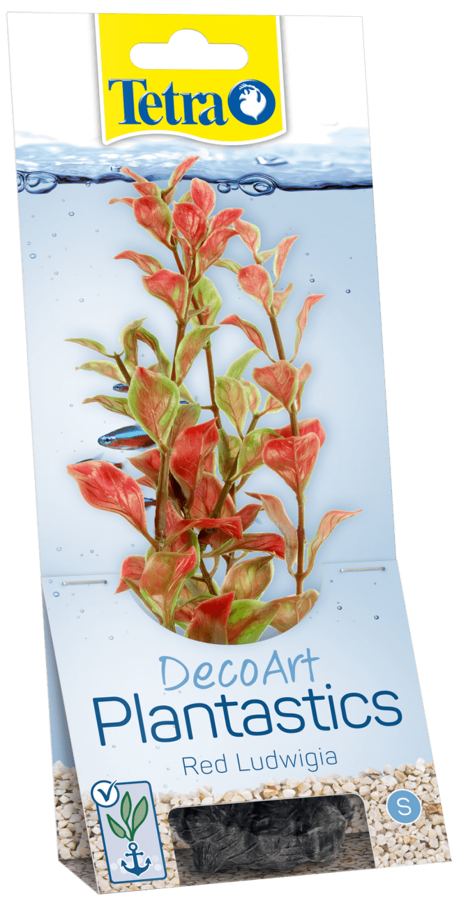 Tetra rastlina Red Ludwigia S 15 cm