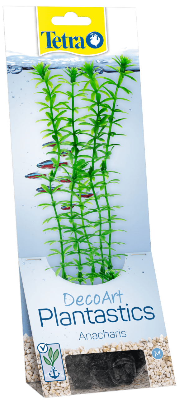 Rastlina Tetra Anacharis M 23cm