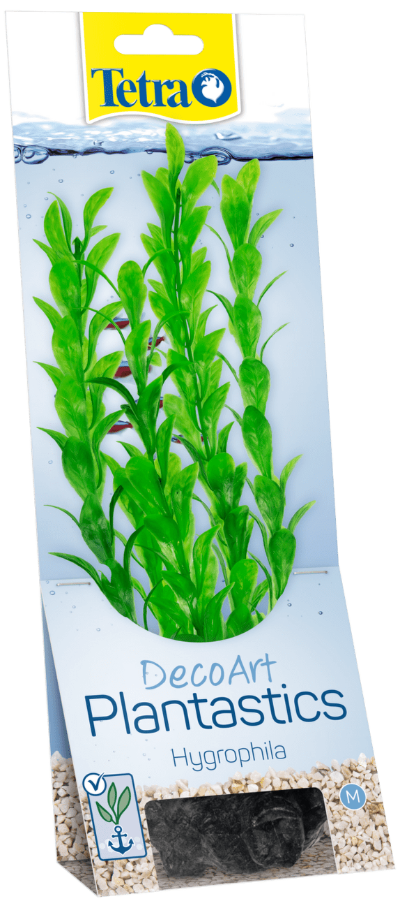 Rastlina Tetra Hygrophila M 23cm