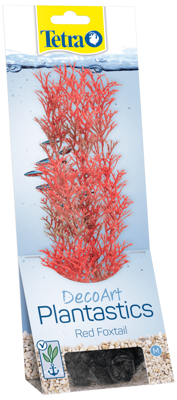 Rastlina Tetra Foxtail Red M 23cm