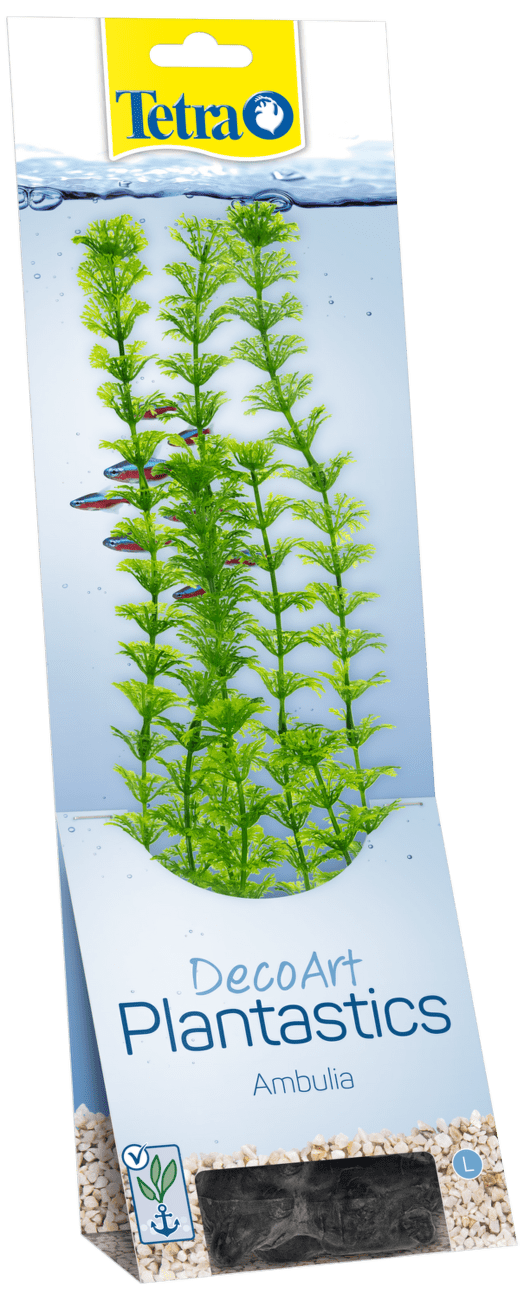 Rastlina Tetra Ambulia L 30cm