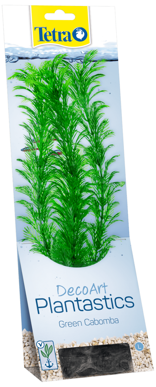 Rastlina Tetra Green Cabomba L 30cm